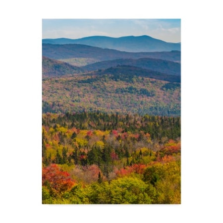 Brenda Petrella Photography Llc 'Vermonts Colors' Canvas Art,35x47